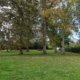 Maison à Marles-en-Brie 164m² 9