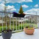 Appartement à roissy en brie 66