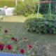 Maison à PONTAULT COMBAULT 74m² 2