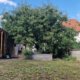 Maison à FONTENAY TRESIGNY 111m² 8