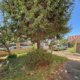 Maison à Pontault-Combault 64m² 8